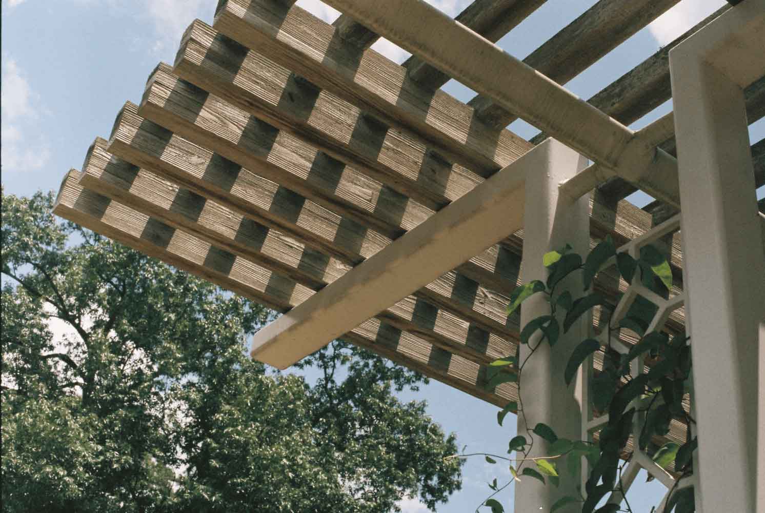 Photo d'une pergola